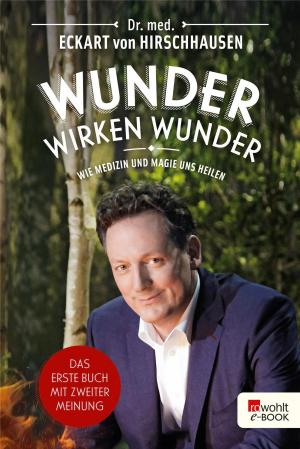 Cover of the book Wunder wirken Wunder by Janwillem van de Wetering