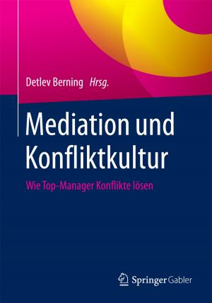 Cover of the book Mediation und Konfliktkultur by Silke Noll