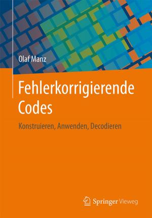 Cover of the book Fehlerkorrigierende Codes by Daniel Grieser