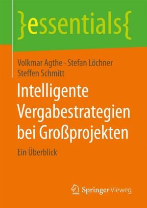 Cover of the book Intelligente Vergabestrategien bei Großprojekten by Stephan Schnorr