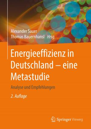 Cover of the book Energieeffizienz in Deutschland - eine Metastudie by Zhong Lu, Daniel Dzurisin