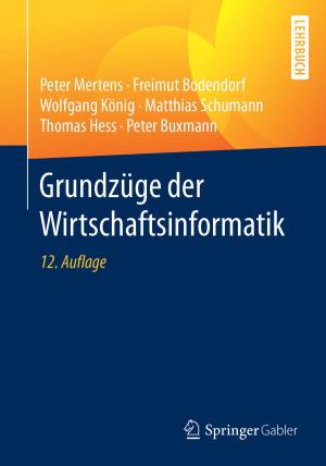 Book cover of Grundzüge der Wirtschaftsinformatik