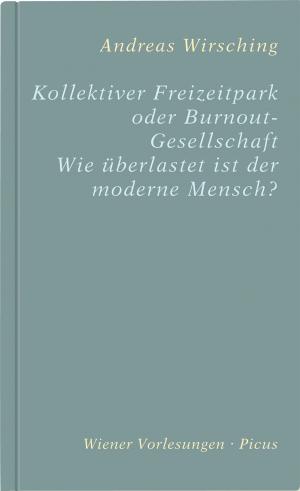 Book cover of Kollektiver Freizeitpark oder Burnout-Gesellschaft
