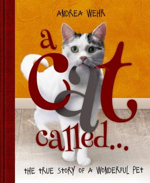 Cover of the book A Cat Called ... by Gopal Kolekar