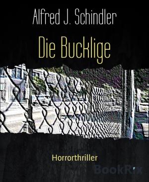 Cover of the book Die Bucklige by Rittik Chandra