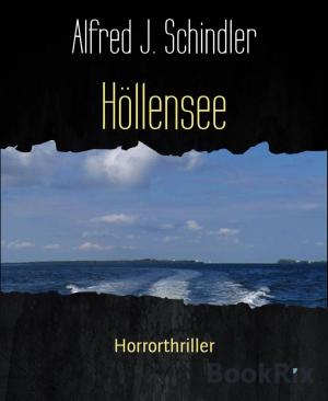 Cover of the book Höllensee by Ashon Thadon
