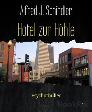 bigCover of the book Hotel zur Höhle by 