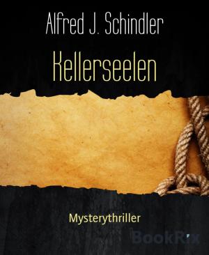 Cover of the book Kellerseelen by Alfred Wallon