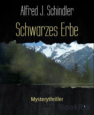 Cover of the book Schwarzes Erbe by Peter Delbridge