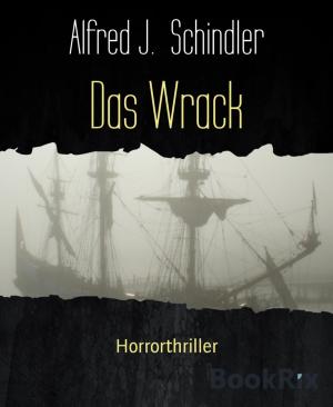 Book cover of Das Wrack