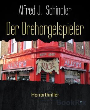 Cover of the book Der Drehorgelspieler by Wolf G. Rahn