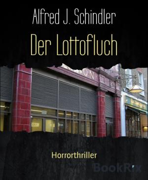 Cover of the book Der Lottofluch by Angelika Nylone