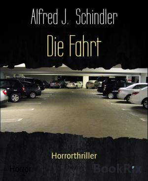Book cover of Die Fahrt