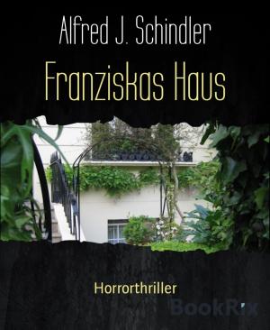 Cover of the book Franziskas Haus by Jürgen Reintjes