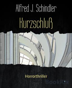 Cover of the book Kurzschluß by Alfred Bekker, Alfred Wallon, Hendrik M. Bekker, Abraham Merritt