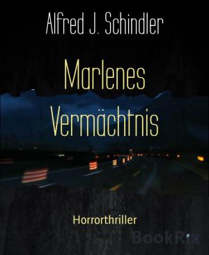 Book cover of Marlenes Vermächtnis