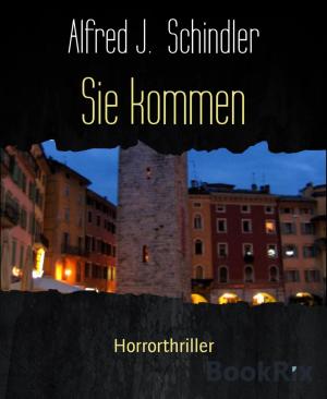 Cover of the book Sie kommen by Ronald M. Hahn