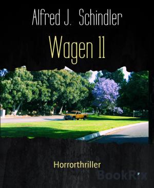Cover of the book Wagen 11 by Martin Barkawitz