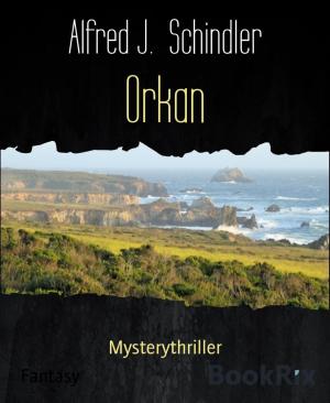 Cover of the book Orkan by Danny Wilson