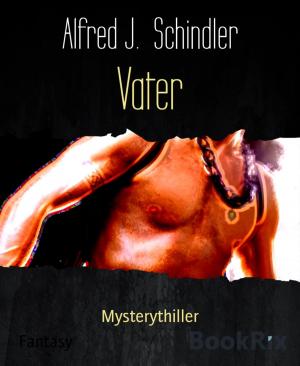 Cover of the book Vater by Beat Bucher