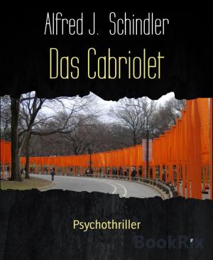 Book cover of Das Cabriolet