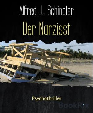 Book cover of Der Narzisst