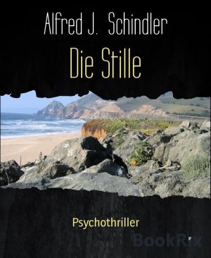 Cover of the book Die Stille by Mattis Lundqvist