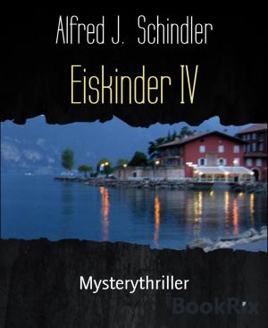 Cover of the book Eiskinder IV by Anne Hope