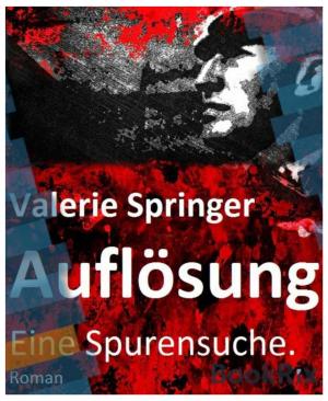 Cover of the book Auflösung by ANITA PUNYANITYA
