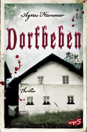 Book cover of Dorfbeben