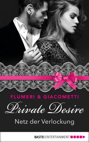 Book cover of Private Desire - Netz der Verlockung