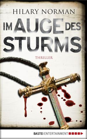 Cover of the book Im Auge des Sturms by Marie d'Ange