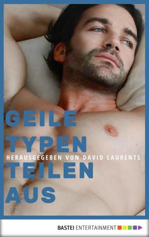 Book cover of Geile Typen teilen aus