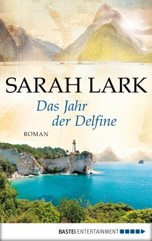 Cover of the book Das Jahr der Delfine by Max Rhode