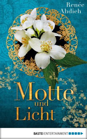 Cover of the book Motte und Licht by Bryan Knower