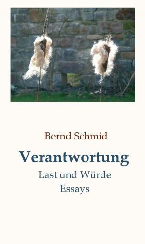 Cover of the book Verantwortung by Sebastian Berndt