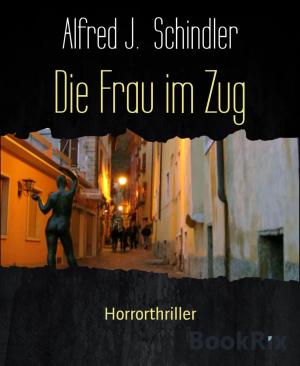 Cover of the book Die Frau im Zug by Astrid Olsson, Mattis Lundqvist