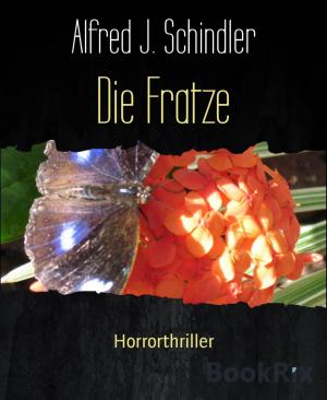 Cover of the book Die Fratze by Ulrich R. Rohmer