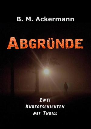 Cover of the book Abgründe by Andre Sternberg