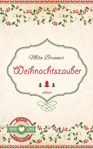 Cover of the book Weihnachtszauber by Ewa A.