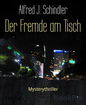 Book cover of Der Fremde am Tisch