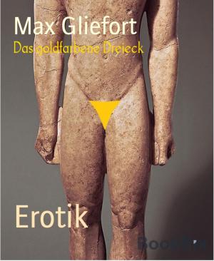 Cover of the book Das goldfarbene Dreieck by Rittik Chandra