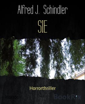 Cover of the book SIE by Thomas Ziegler