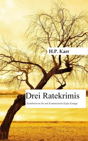 Cover of the book Drei Ratekrimis by Harleen Kaur, Dr. Chandan Deep Singh, Rajdeep Singh