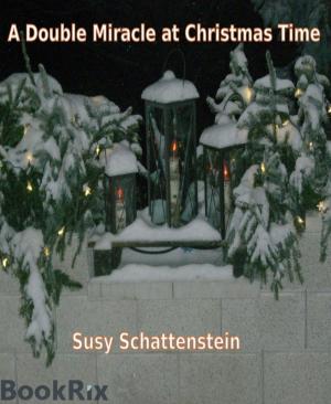 Cover of the book A Double Miracle at Christmas Time by Wilfried A. Hary