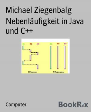 Book cover of Nebenläufigkeit in Java und C++