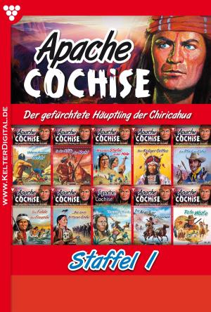 Book cover of Apache Cochise Staffel 1 – Western
