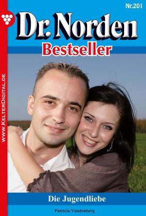 Cover of the book Dr. Norden Bestseller 201 – Arztroman by Patricia Vandenberg