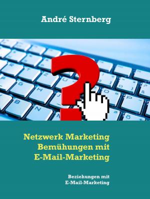 bigCover of the book Netzwerk Marketing Bemühungen mit E-Mail-Marketing by 
