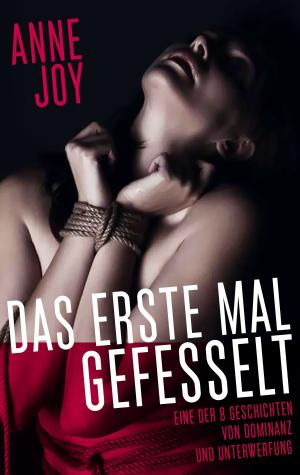 Cover of the book Das erste Mal gefesselt by Luciano Premoso